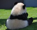 英語翻訳致します 長めの文章を英訳・和訳対応致します。 イメージ1