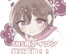 2月末までの特別価格!SNS用アイコン作成します ゆるふわな女の子や厚塗りなどが得意です! イメージ1