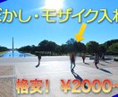 格安！動画のぼかし・モザイク編集します ☝できるだけお安くとお考えの方に！ イメージ1