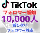 TikTokフォロワー10,000人増やします 減らないアカウント増加に対応！！ イメージ1