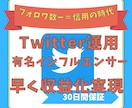 Twitter日本人フォロワー1000人増やします 1〜から可能、数指定も可能です。 イメージ4