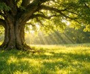 心を軽くするお手伝いをします 出口の見えない悩みの迷路を抜け出しましょう イメージ1