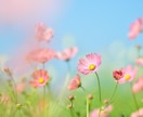 一緒に楽しい時間を過ごします 少しでも大歓迎♫お話ししませんか？♡ イメージ10