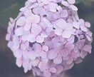 1分OK雑談/相談/男女歓迎何でもお聴き致します ポイント消化大歓迎◎どんなことでも大丈夫 イメージ3