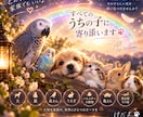 うちの子 オーラを素敵な画像にします 待ち受けにしたい！うちの子オーラを作成します。 イメージ2