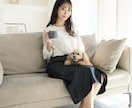 全国対応可能！プロモデルが撮影代行を行います 商品の魅力を最大限に引き出します イメージ4