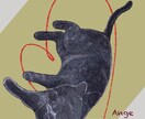 油絵風の暖かい雰囲気の動物を描きます 動物好きによる動物好きのためのイラスト イメージ4