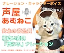 高品質な「伝わる」ナレーションをお届けします ★幅広い表現と高音質でクリアな音声★ご依頼件数1000件以上 イメージ11
