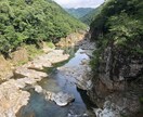 お花の写真メインで提供します お花、風景をメインに写真提供します。 イメージ8