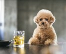 どんな話も聞きます！雑談、お悩み、愚痴を聞きます タメ口OK！友達感覚でお話ししましょう✨ イメージ2