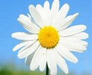 望むように生きたい貴方へ♡心の声を伺います 働く女性の仕事/結婚/将来の迷いを整理するお手伝い♪ イメージ7