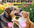 おうちの動物さんとお話し致します おうちの動物さんに聞きたい事はありませんか？ イメージ1