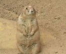 通話でも文章でも両方で対応させていただいております 文章のが良い事とかもあるんだろうけど基本は何も変わりません笑 イメージ1