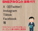 SNS運用代行、コンサルタント承ります タレントマネジメント経験8年sNS運用代行をいたします イメージ1