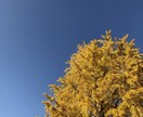 あなたの介護での適正をお答えします 「こんなはずでは・・」ミスマッチ無しで無駄を防ごう！（１辛） イメージ3