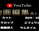 youtube等のテロップ入れおこないます しっかり相談し納得いただける作品を作成いたします イメージ1