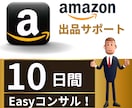 Amazonのプロが10日間Easyコンサルします 販売/コンサル歴14年の実績！アマゾン販売はお任せください！ イメージ2