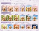 メモリアルポートレート『うちの子』お作りします 犬さん、猫さん、鳥さん…写真３枚から　その子だけの１枚に イメージ6