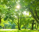 女性の相談30分◯誰にも言えないことでも聞きます ◯友のように聞くことを大切にしています◯ イメージ1