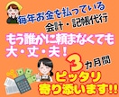 ３か月で完全習得！収支が自分で出せるようになります 個人事業主様の経理処理の悩みを素早く解消します イメージ1