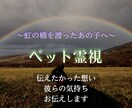 生きている子・亡くなった子どちらでも対応します 霊視で愛するパートナ―の心に語り掛けます。 イメージ1
