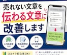 使える・売れる文章に改善します “反応が取れる形”にリライト（2000円〜） イメージ1
