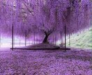 相手の心の奥に隠された本音と愛の行方を霊視します 気持ちと潜在意識を紐解き、二人が望む最高の未来へ導く イメージ4