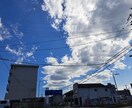 ペットを亡くして行き場のない心癒します ペットを亡くし心に空いた穴、ゆっくり塞いでいきませんか? イメージ2