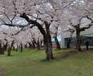 障がい者当事者が傾聴します 当事者の観点から個人に寄り添いながらお話を聴かせてもらいます イメージ2