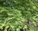 あなたの悩み傾聴いたします どんな些細なことでも構いません イメージ1