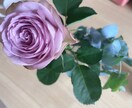 何でもお話し聞きます 気軽にお話しませんか？♬何でも聞きますよ！ イメージ3