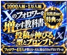 X(Twitter)１万フォロワー増やし方教えます ４万フォロワー・万バズ10回以上の実績。ポストプロンプトつき イメージ1