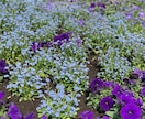 今までに撮った写真を提供します 今までに撮った写真（主に景色）を提供いたします。 イメージ1