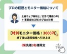特別価格｜プロがLP・バナーの改善点を解説します 時間がない方でもサクッと本質的な課題と次のアクションが分かる イメージ2