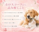 ペットロス【命日鑑定】を西洋占星術で読み解きます あの子が最後にあなたに伝えたかったメッセージ/ペットの気持ち イメージ3