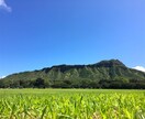 楽しいハワイ旅行を計画したい方☆お手伝いします 【元ハワイ在住】ハワイのオススメを話す事が大好きです イメージ6