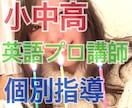 塾講師が中学生英語をあなたに寄り添って教えます 公立私立OK！定期テスト、受験、英検対策♪小学生、高校生も！ イメージ1