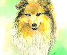 あなたの可愛いわんちゃんを、絵画に仕上げます ペットの似顔絵・肖像画オーダー『まなペットアート』横浜・東京 イメージ2