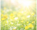 医療・福祉職で疲れたあなたの気持ちを受け止めます 30年の経験で、対人支援のあなたが安心して話せる時間 イメージ3