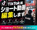 TikTok風ショート動画を制作します 視聴維持率を意識してテンポ良く編集します イメージ1