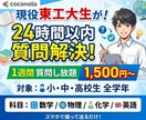 現役東工大生が24時間以内に質問対応します 小中高誰でも！数学/物理/化学/英語を指導可能！ イメージ1