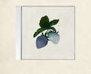 音楽配信・CD ジャケットイラストを作成します イラスト作成からトータルデザインまで イメージ6