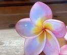 心のモヤモヤを軽くできるようにお手伝いいたします 沖縄のスピリチュアル直感を入れてアドバイスいたします イメージ1