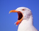 私の本音を聞いて！そんなあなたにご利用いただけます 社会人って何かと演技が必要ですよね。疲れた時にお越しください イメージ14