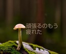 義母の愚痴スッキリするまで全部聞きます あなたを苦しめる義母の悪行吐き出して！私はあなたの味方です イメージ7