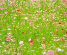 愚痴聞き屋さん♬あなたの安全基地になります 心のデトックスしませんか？お茶飲みながらお話しましょう。 イメージ4