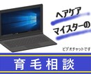 ヘアケアマイスターが薄毛育毛アドバイスいたします 育毛ビジネス最大の欠点「確率」をアップさせる方法 イメージ1