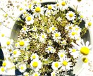 個人情報不要恋愛•仕事•お悩みにお答えします あなたの守護天使と繋がりリーディング イメージ1