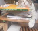 タロットと感性であなたをサポートしていきます 気軽に話せる相手とし、占っていきます イメージ1