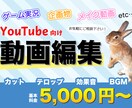 YouTubeの動画編集承ります イメージやジャンルに合わせて素早くご対応いたします！ イメージ1